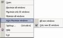 hide windows program,hide application,auto max window